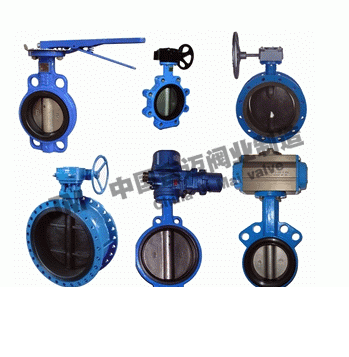 D371J蝸輪對夾襯膠蝶閥